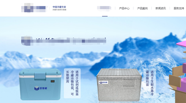 深圳冷链科技有限公司整站优化案例